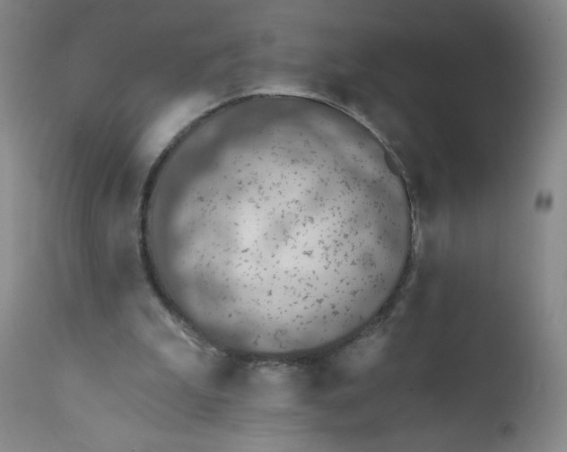 X0000112380199200909101355