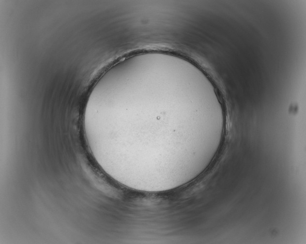 X0000112380201200909101355