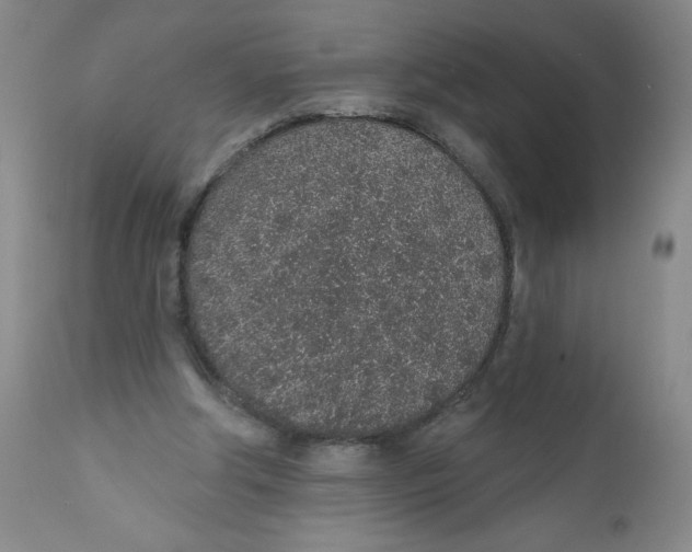 X0000112380202200909101355