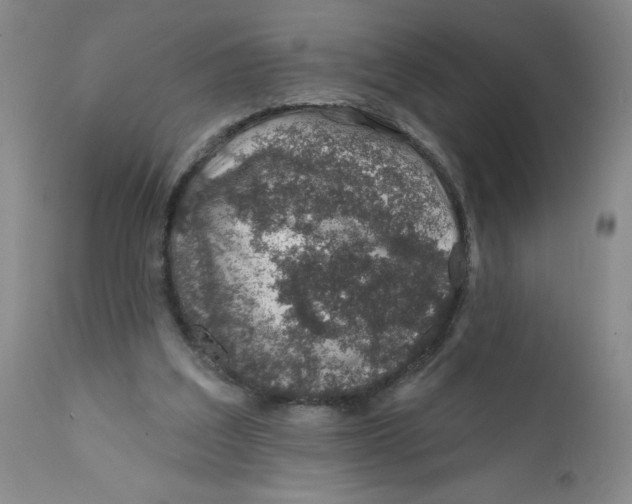 X0000112380203200909101355