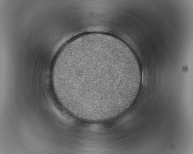 X0000112380204200909101355