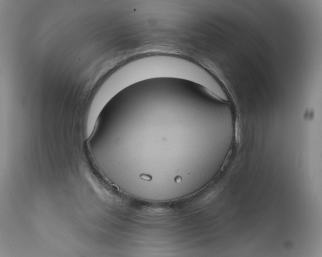 X0000112380205200909101355