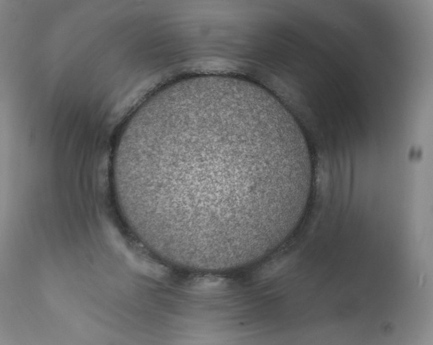 X0000112380206200909101355