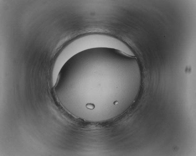 X0000112380207200909101354