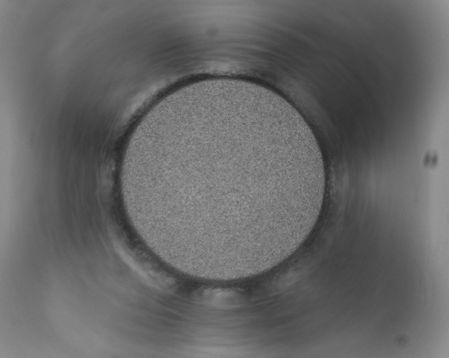 X0000112380208200909101354