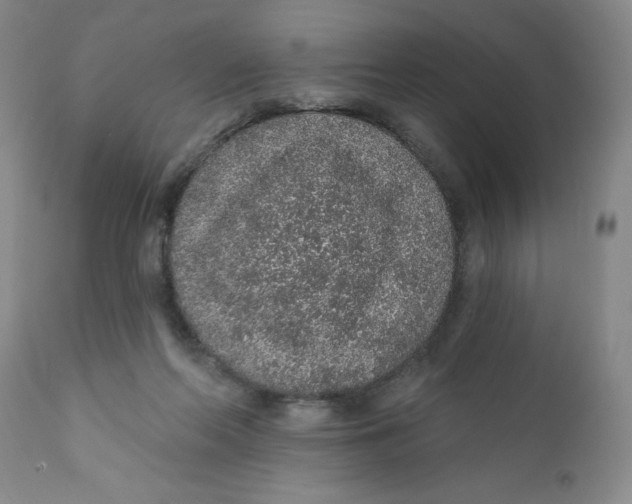 X0000112380214200909101354