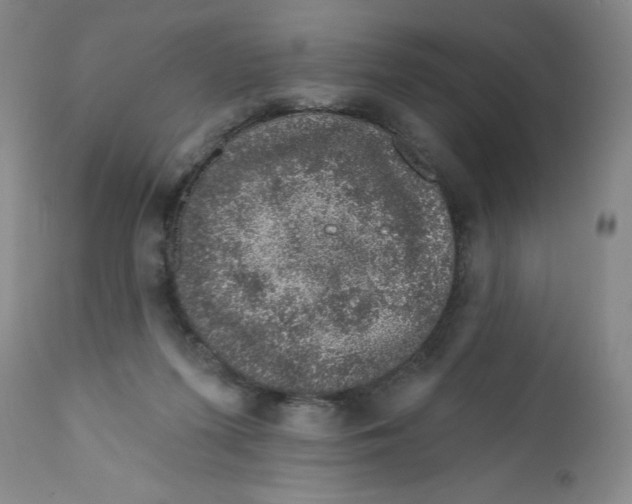 X0000112380215200909101354