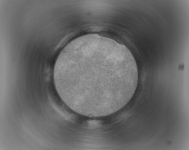 X0000112380216200909101354