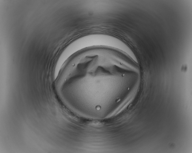 X0000112380217200909101354