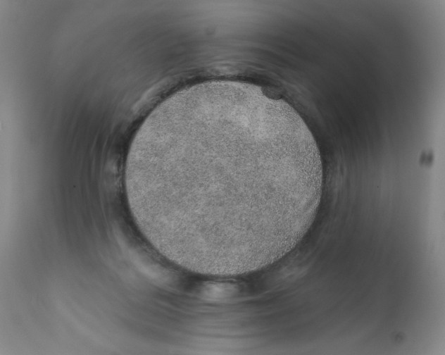 X0000112380220200909101354