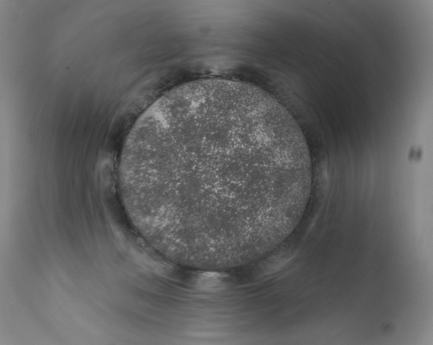 X0000112380222200909101354