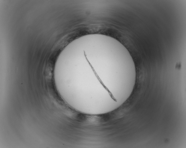 X0000112380226200909101354