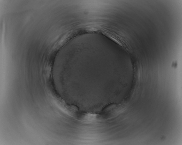 X0000112380227200909101354