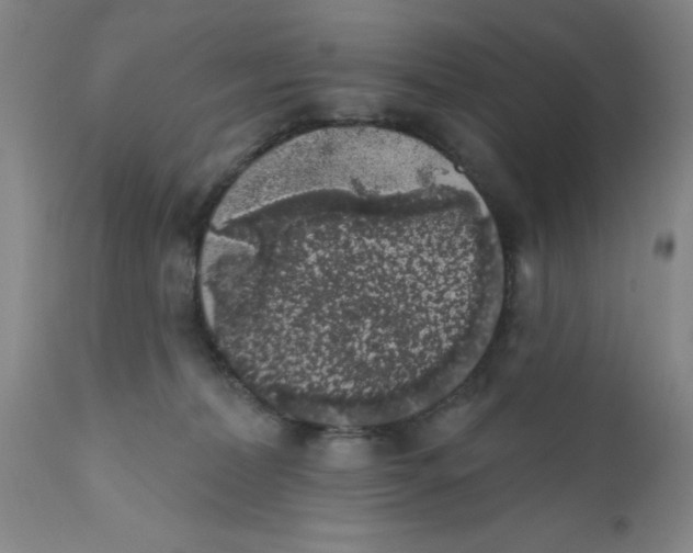 X0000112380228200909101354