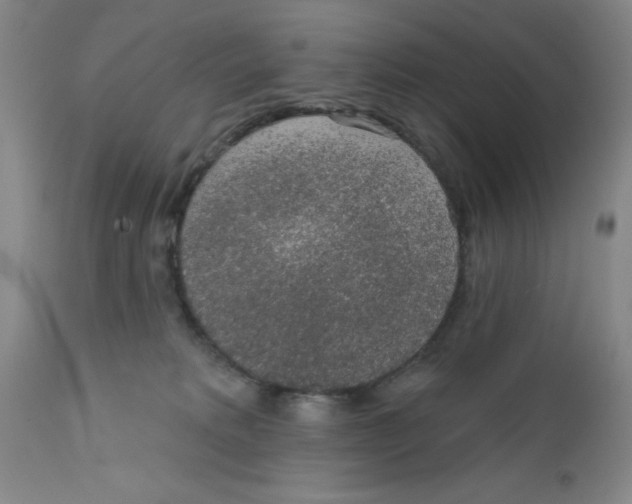 X0000112380229200909101354