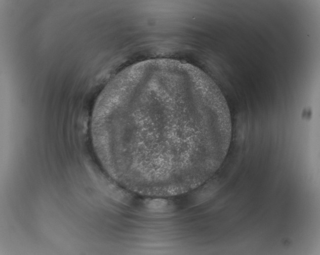 X0000112380230200909101354