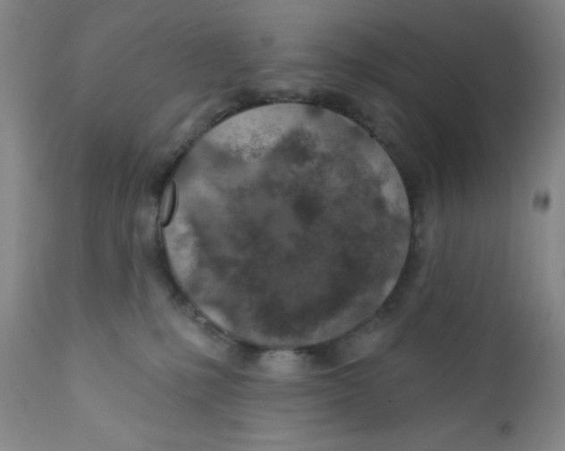 X0000112380231200909101354