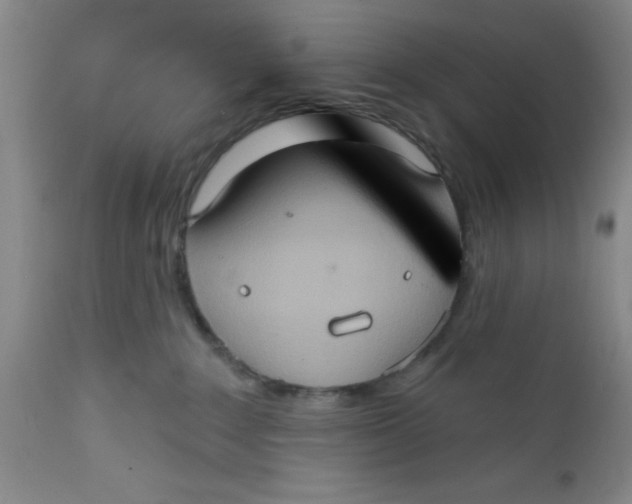 X0000112380235200909101354