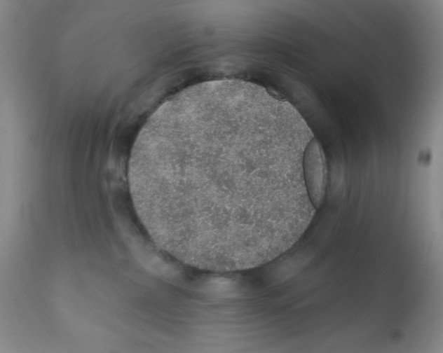 X0000112380236200909101354