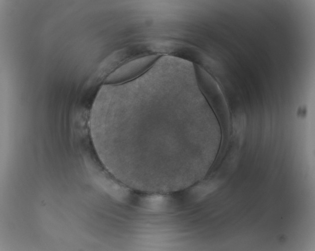 X0000112380237200909101354