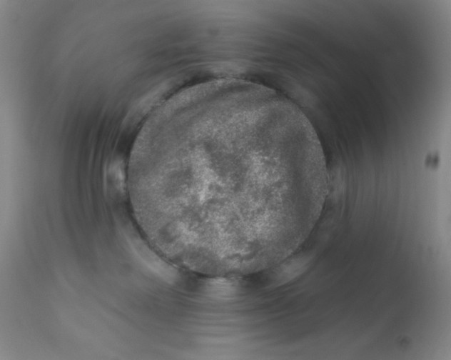 X0000112380238200909101354