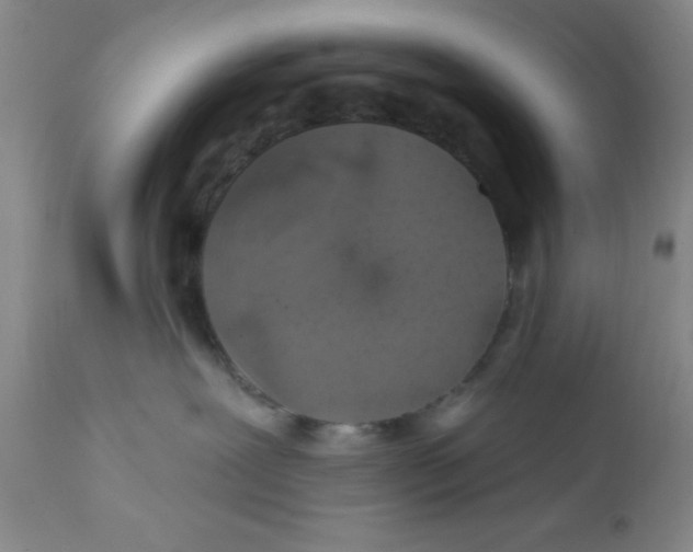 X0000112380239200909101354