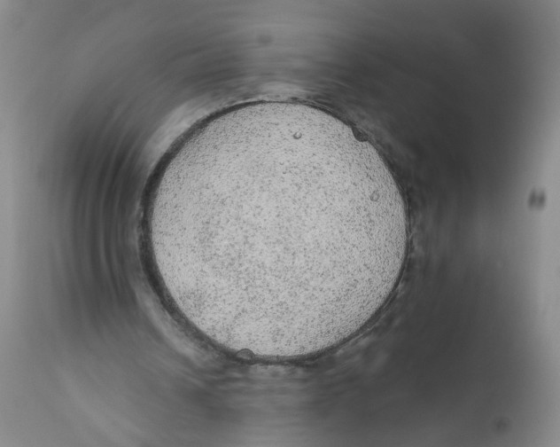 X0000112380242200909101353