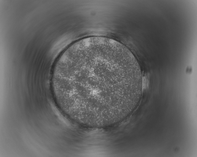 X0000112380243200909101353