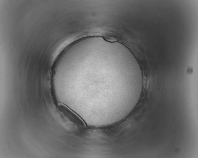 X0000112380244200909101353