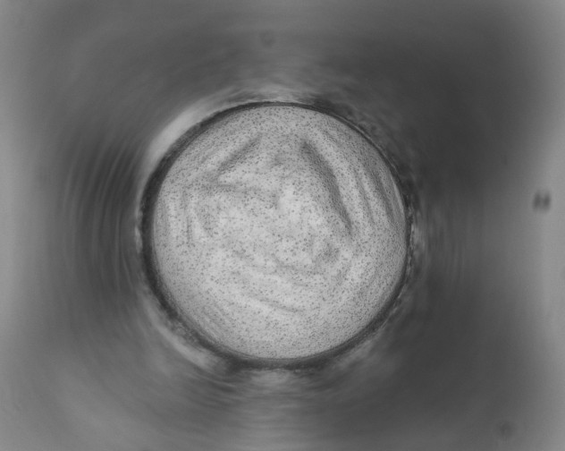 X0000112380246200909101353