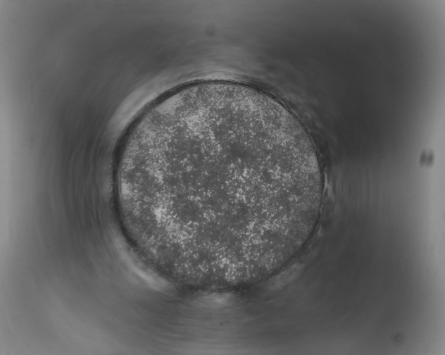 X0000112380247200909101353