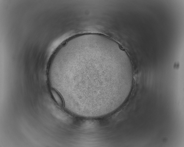 X0000112380248200909101353