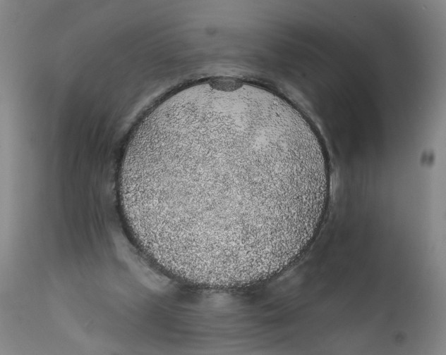 X0000112380249200909101353