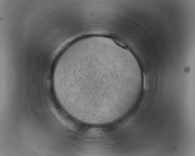 X0000112380252200909101354