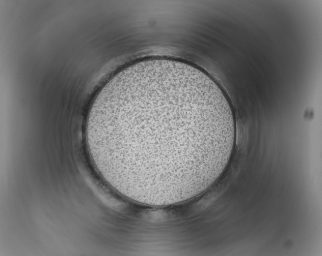 X0000112380253200909101354