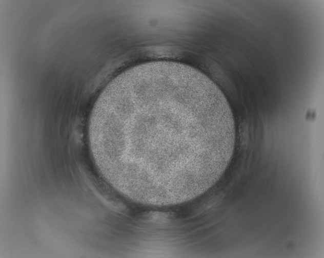 X0000112380255200909101354