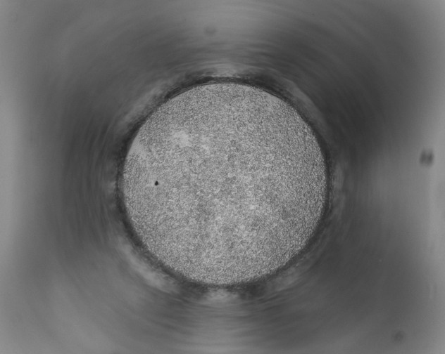 X0000112380257200909101354