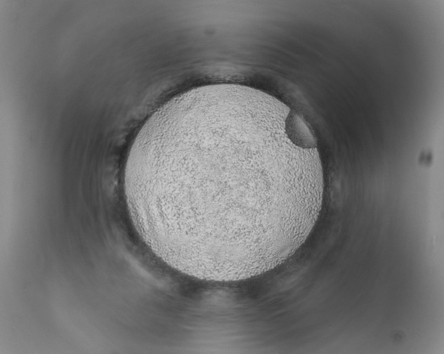 X0000112380259200909101354