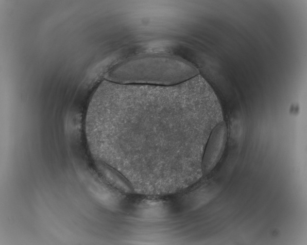 X0000112380260200909101354