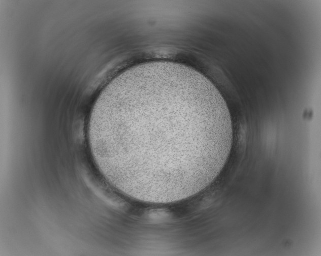 X0000112380262200909101354