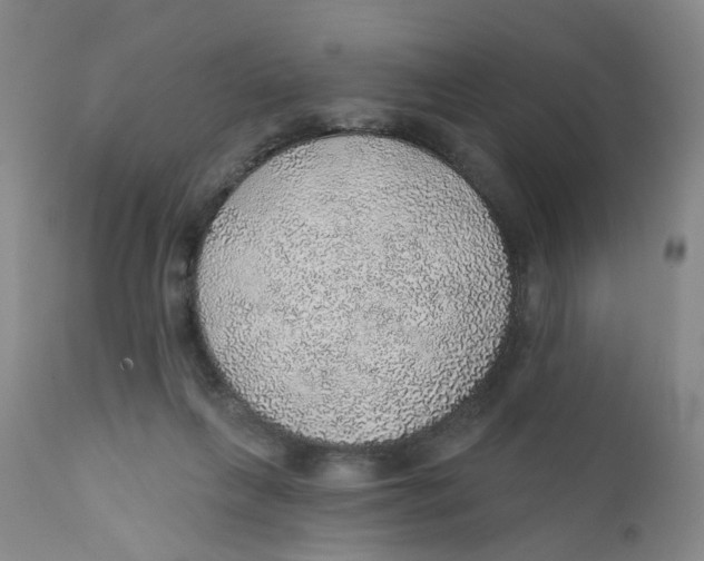 X0000112380263200909101354