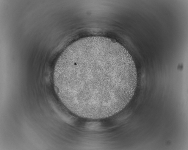 X0000112380266200909101354