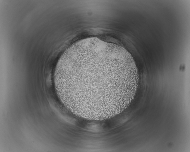 X0000112380267200909101354