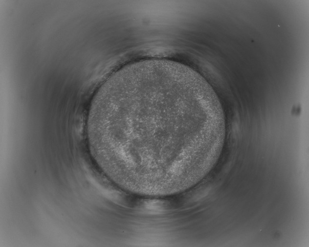 X0000112380268200909101354