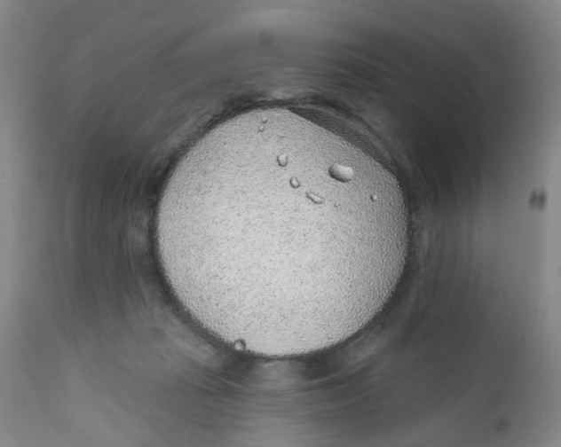 X0000112380269200909101354