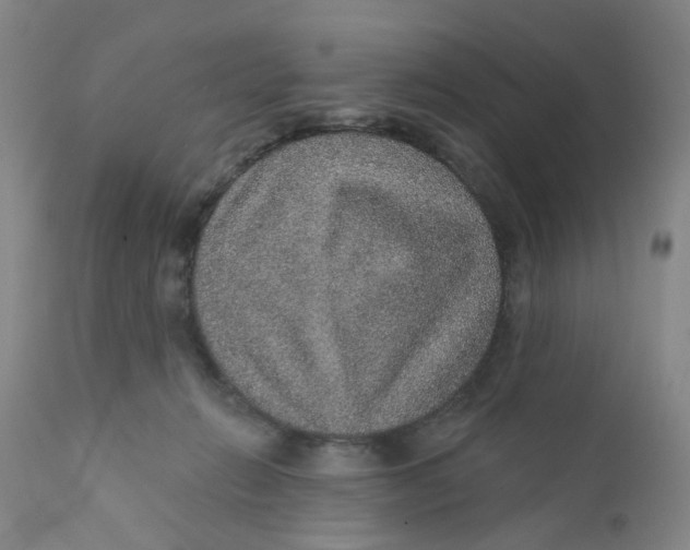 X0000112380270200909101354