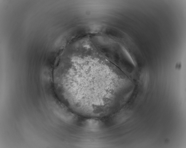 X0000112380272200909101354