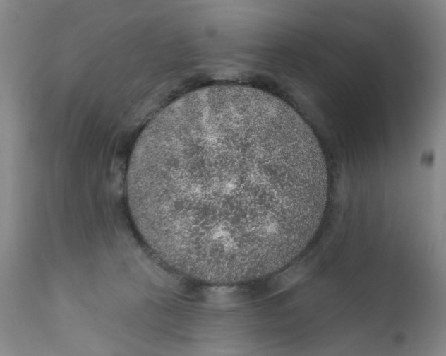 X0000112380273200909101354