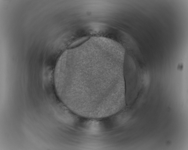 X0000112380276200909101354