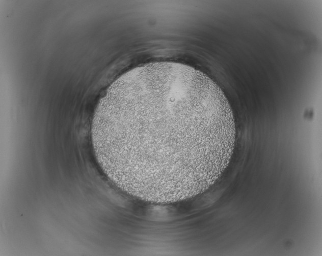 X0000112380277200909101354